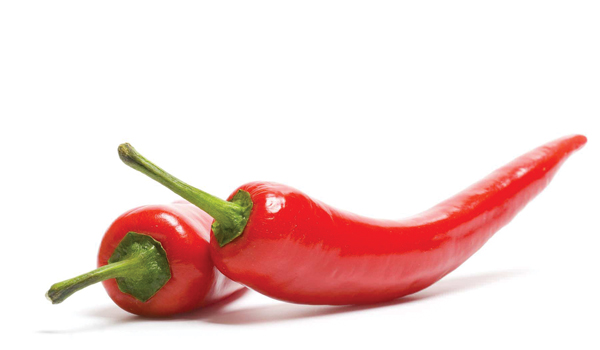 ăn gì chống lão hóa tốt