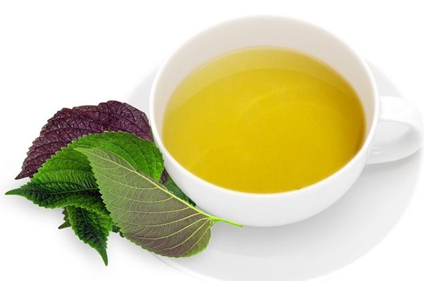 Chữa viêm lỗ chân lông bằng thuốc nam