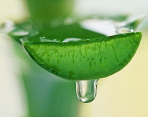 Chữa viêm lỗ chân lông bằng tự nhiên