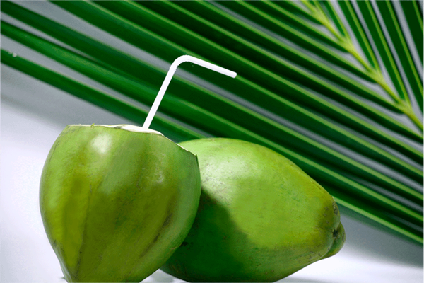 Da đẹp mịn màng nhờ uống nước dừa