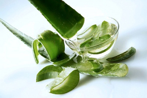 tự làm kem dưỡng ẩm da mặt 1