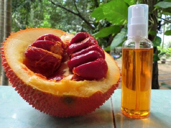 trị nám bằng dầu gấc
