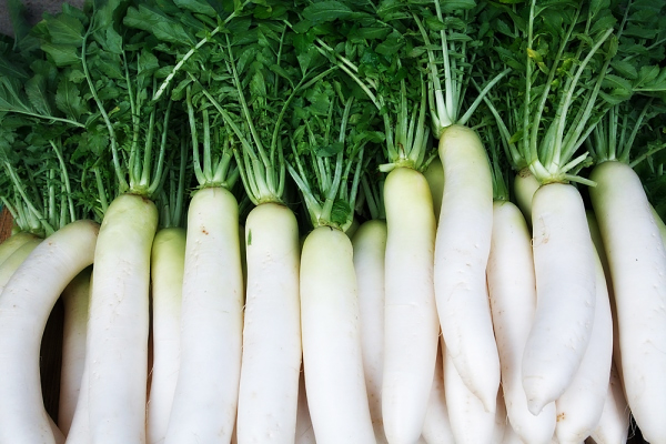 Mặt nạ trị nám bằng củ cải trắng