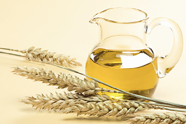 trị nám từ lúa mì