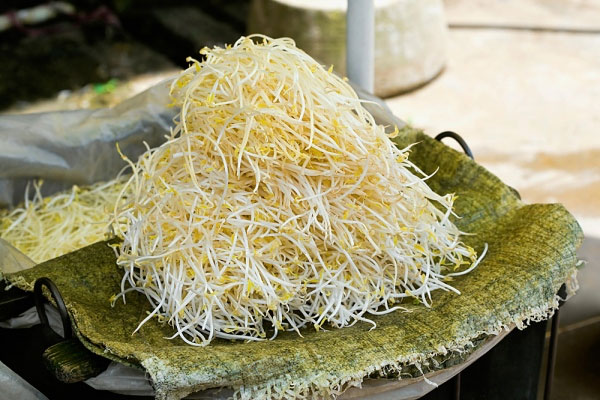 Sử dụng giá đỗ để trị nám