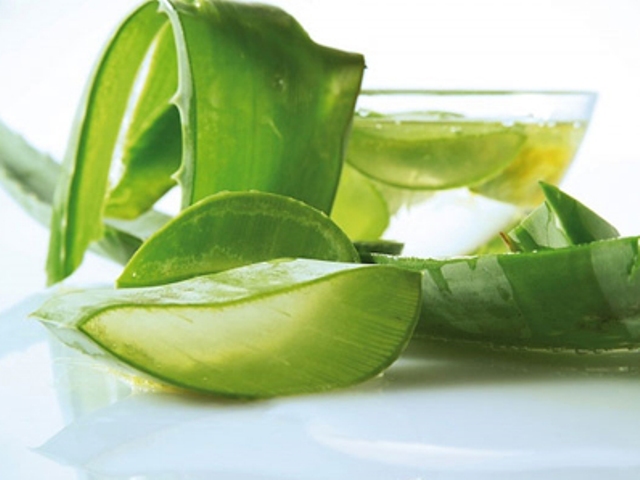 Cách chống lão hóa da hiệu quả từ nha đam