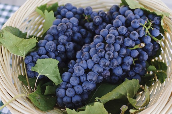 cách chăm sóc da tay