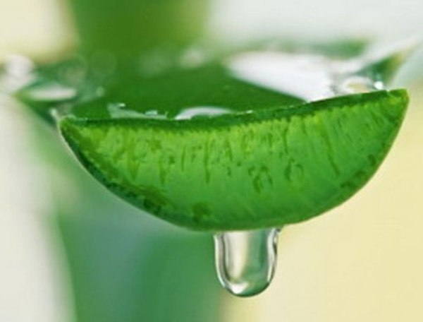 tự làm serum dưỡng da 1