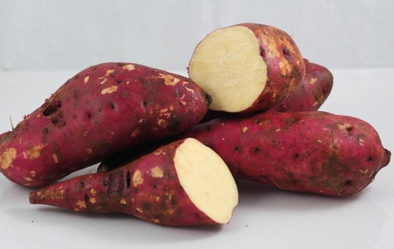 Ăn gì để chống lão hóa từng ngày tốt nhất?