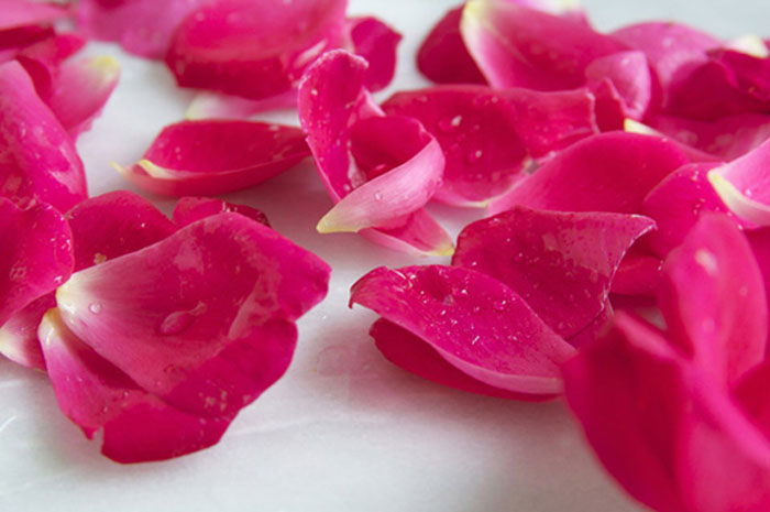 cách làm nước hoa hồng