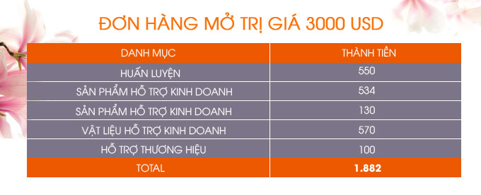 gói hỗ trợ 3000