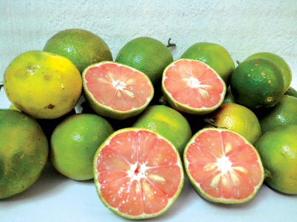 mặt nạ dưỡng da khô 2