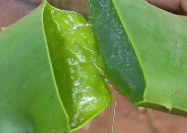 các hãng mỹ phẩm cao cấp 2