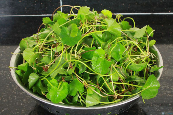 các loại mỹ phẩm cao cấp