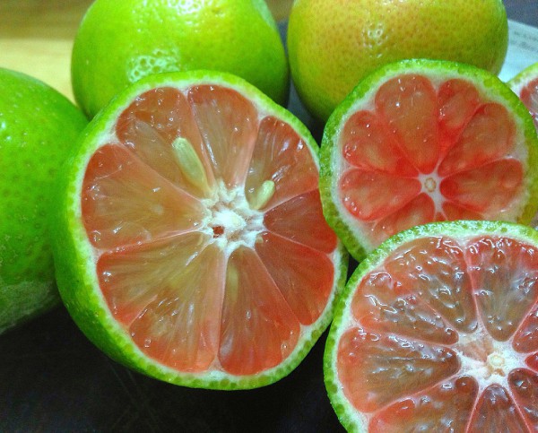 mặt nạ dưỡng da khô