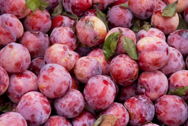 đắp mặt nạ dưỡng da