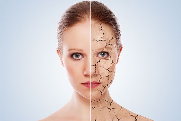 sữa tắm nào tốt