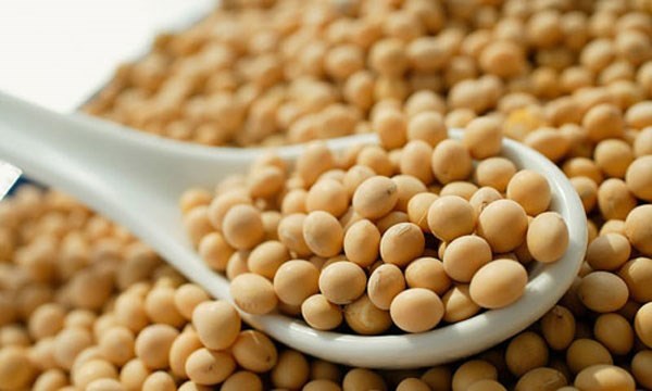 đắp mặt nạ dưỡng da