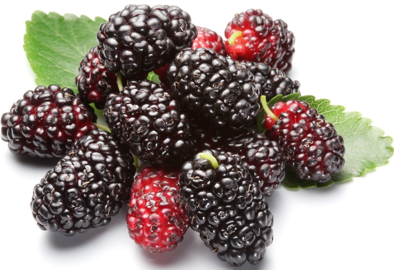 Tự làm sữa tắm tại nhà đơn giản và hiệu quả