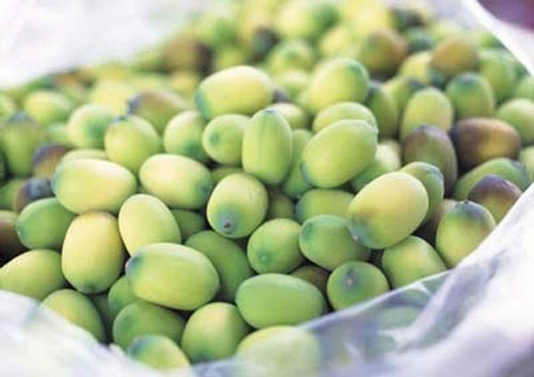 chữa viêm nang lông bằng đông y 2