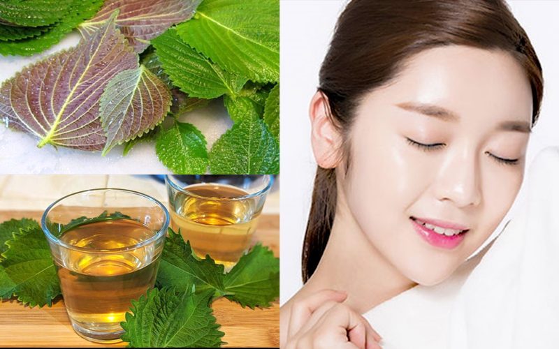 Lưu ý khi dùng cách trị mụn bằng mặt nạ tía tô