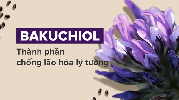 Bakuchiol chống lão hóa tự nhiên là gì