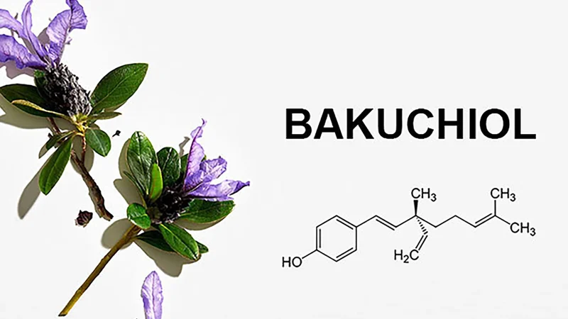 Lưu ý khi dùng bakuchiol chống lão hóa tự nhiên