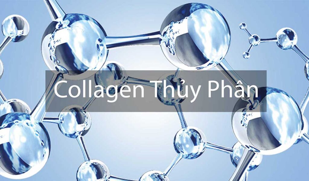 Collagen thủy phân chống lão hóa là gì? Cơ chế hoạt động của Collagen thủy phân chống lão hóa