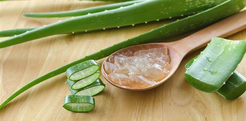 Làm dịu da dễ nổi mẩn khi nắng nóng hiệu quả với lô hội