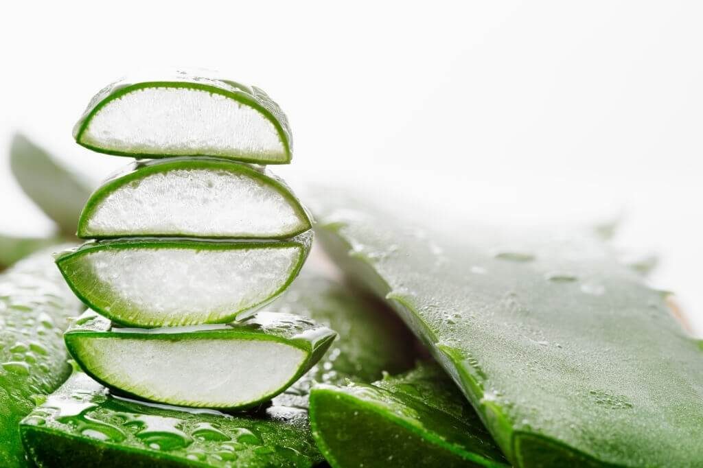 Tại sao aloe vera extract được ứng dụng nhiều trong mỹ phẩm