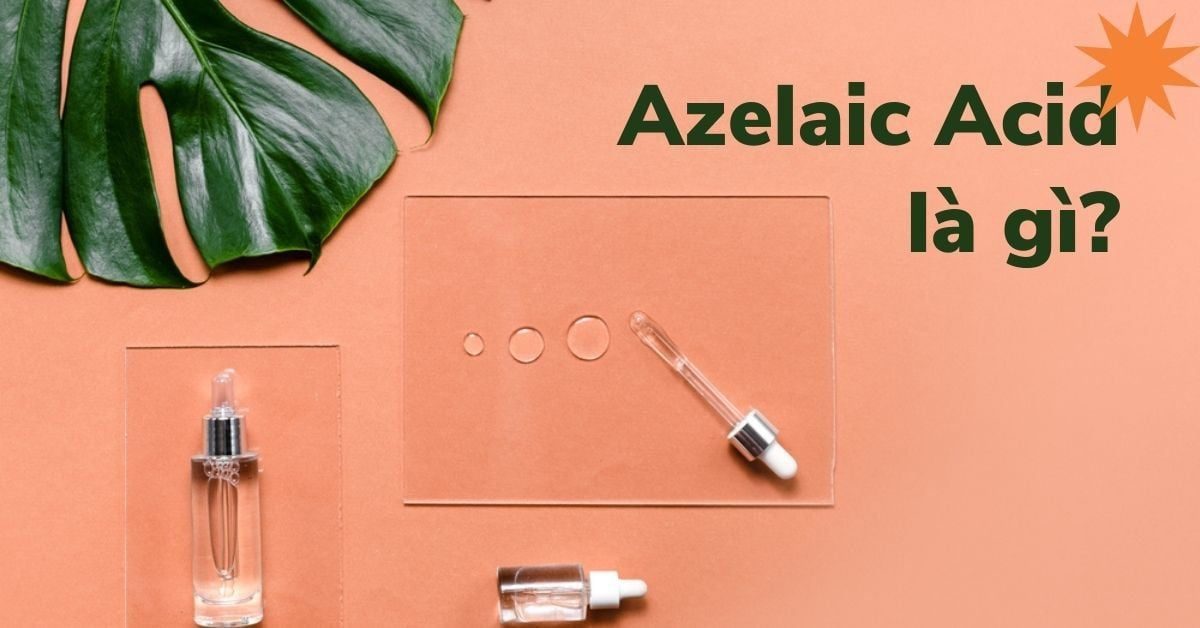 Azelaic acid là gì? Cơ chế hoạt động như thế nào