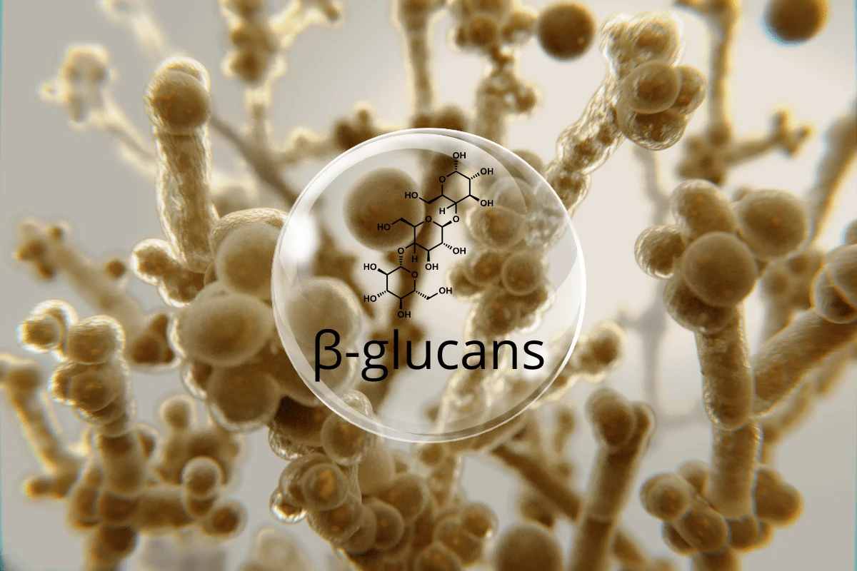 Beta glucan là gì? Có nguồn gốc từ đâu