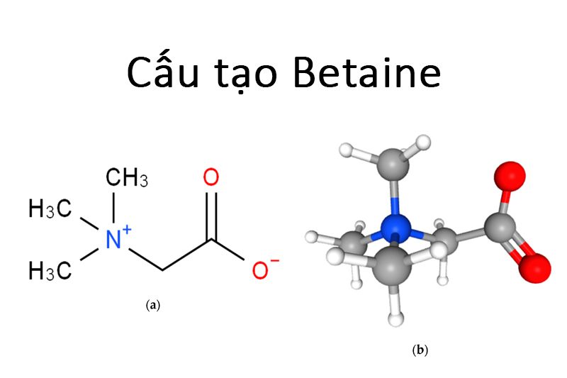 Betaine là gì? Có nguồn gốc từ đâu