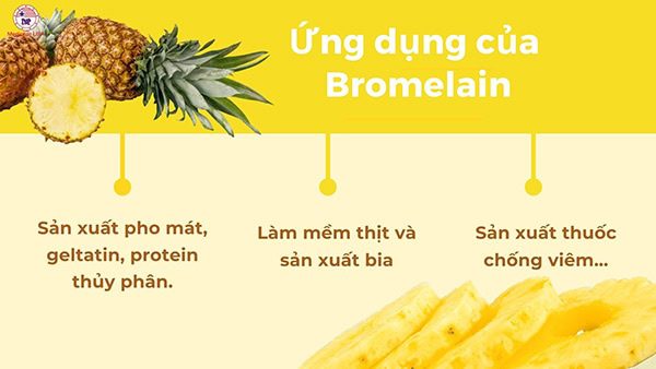 Bromelain là gì? Ứng dụng như thế nào trong mỹ phẩm