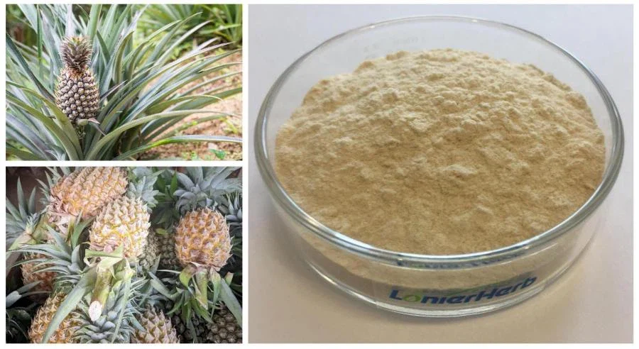 Bromelain là gì? Sử dụng sao cho hiệu quả