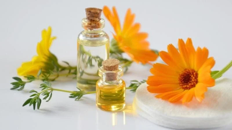 Calendula extract là gì? Bao gồm những hoạt chất nào