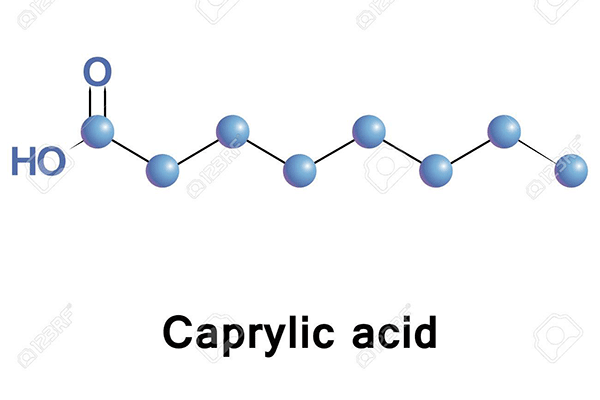 Caprylic là gì? Ứng dụng như thế nào trong lĩnh vực mỹ phẩm