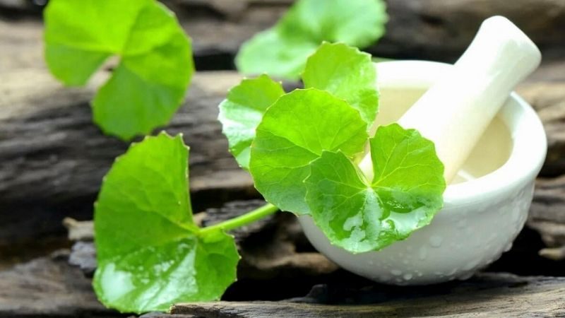 Vậy còn những ứng dụng nào khác của Centella asiatica extract trong chăm sóc da và sức khỏe toàn diện mà bạn có thể chưa từng nghe tới?