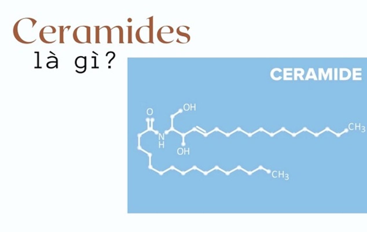 Ceramide AP là gì và vai trò trong cấu trúc hàng rào bảo vệ da