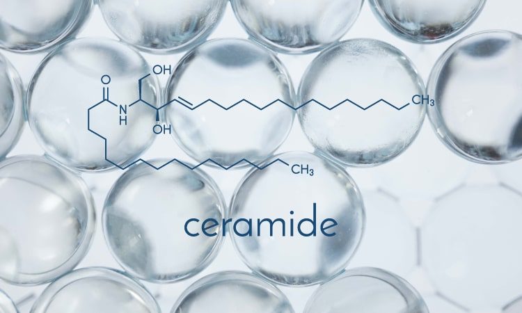 Ceramide là gì? Bổ sung sao cho hiệu quả