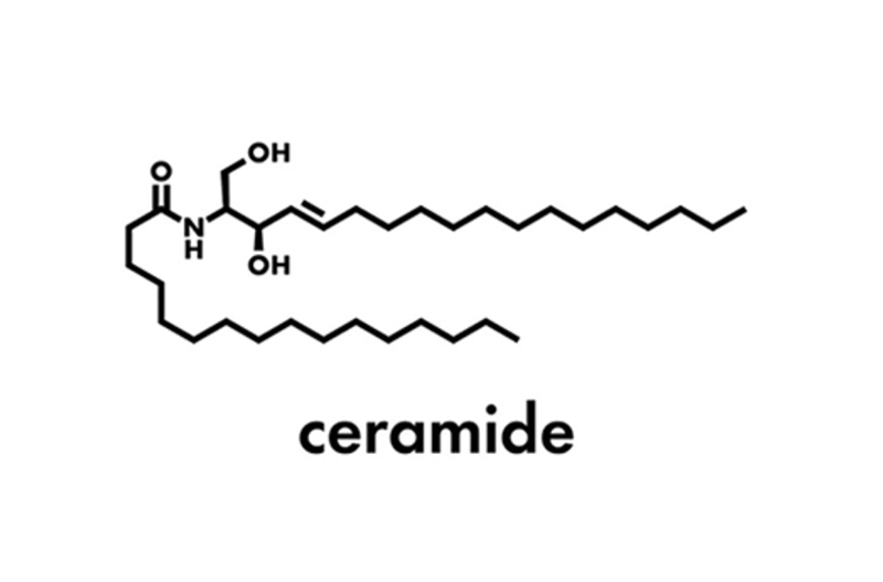 Ceramide NP là gì? Tại sao lại được ưu ái trong ngành mỹ phẩm