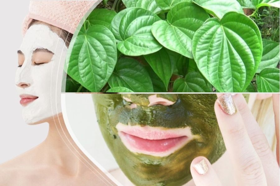 Chữa nám bằng trầu không tại nhà kết hợp sử dụng sản phẩm chăm sóc da nám của Dr.Spiller