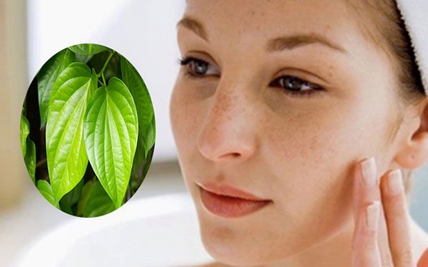 Chữa nám bằng trầu không tại nhà có thực sự hiệu quả