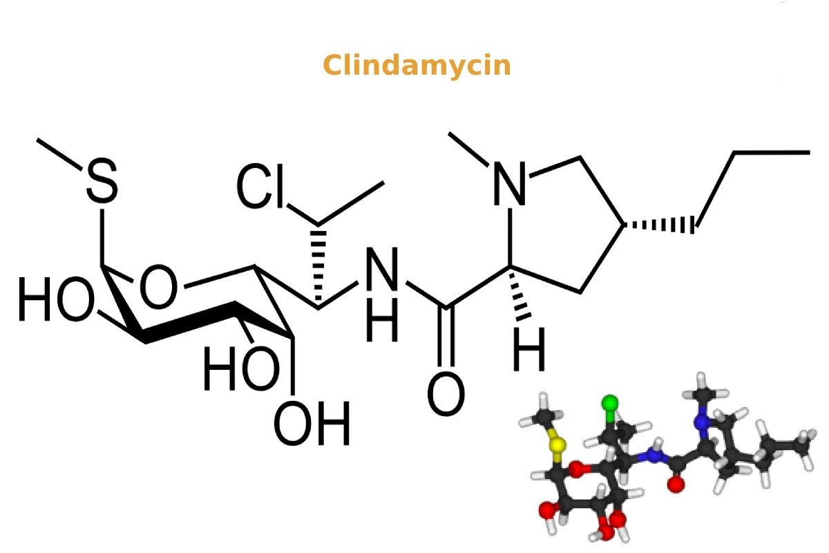 Clindamycin là gì? hoạt động như thế nào trong cơ thể?