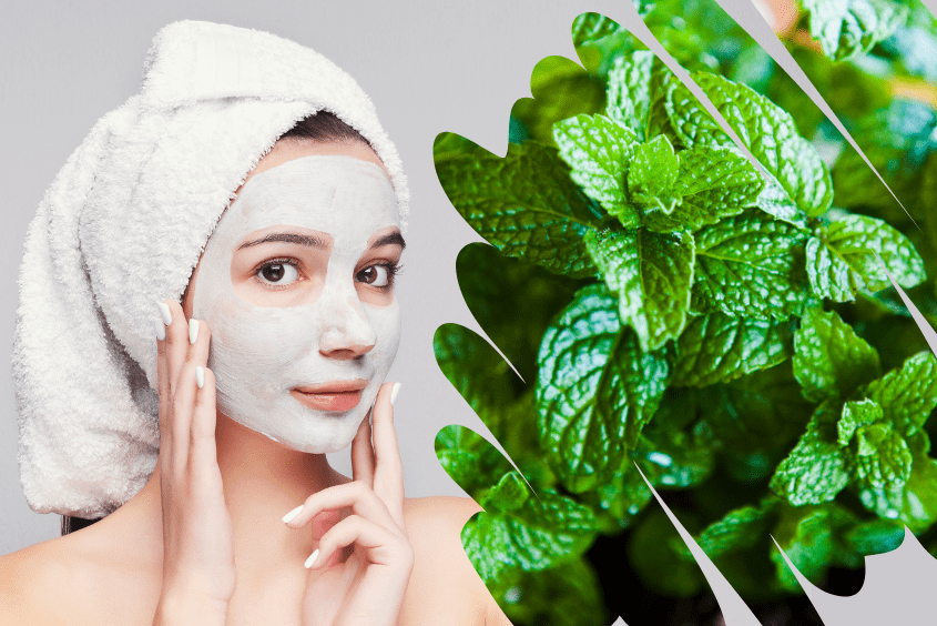 Hướng dẫn chọn mặt nạ bạc hà phù hợp theo loại da