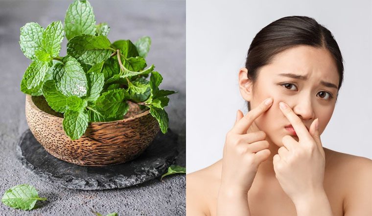 Tìm hiểu công dụng của mặt nạ bạc hà