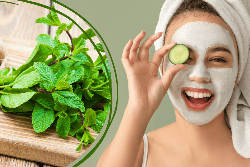 Lưu ý an toàn khi sử dụng mặt nạ bạc hà
