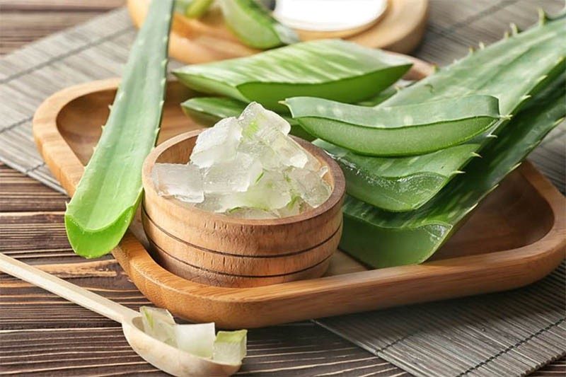 Nha đam có rất nhiều thành phần dưỡng ẩm cho da khô hiệu quả
