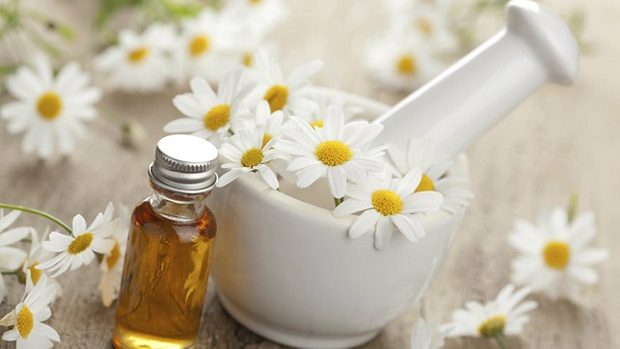 Tái sao nên dưỡng da nhạy cảm bằng hoa cúc