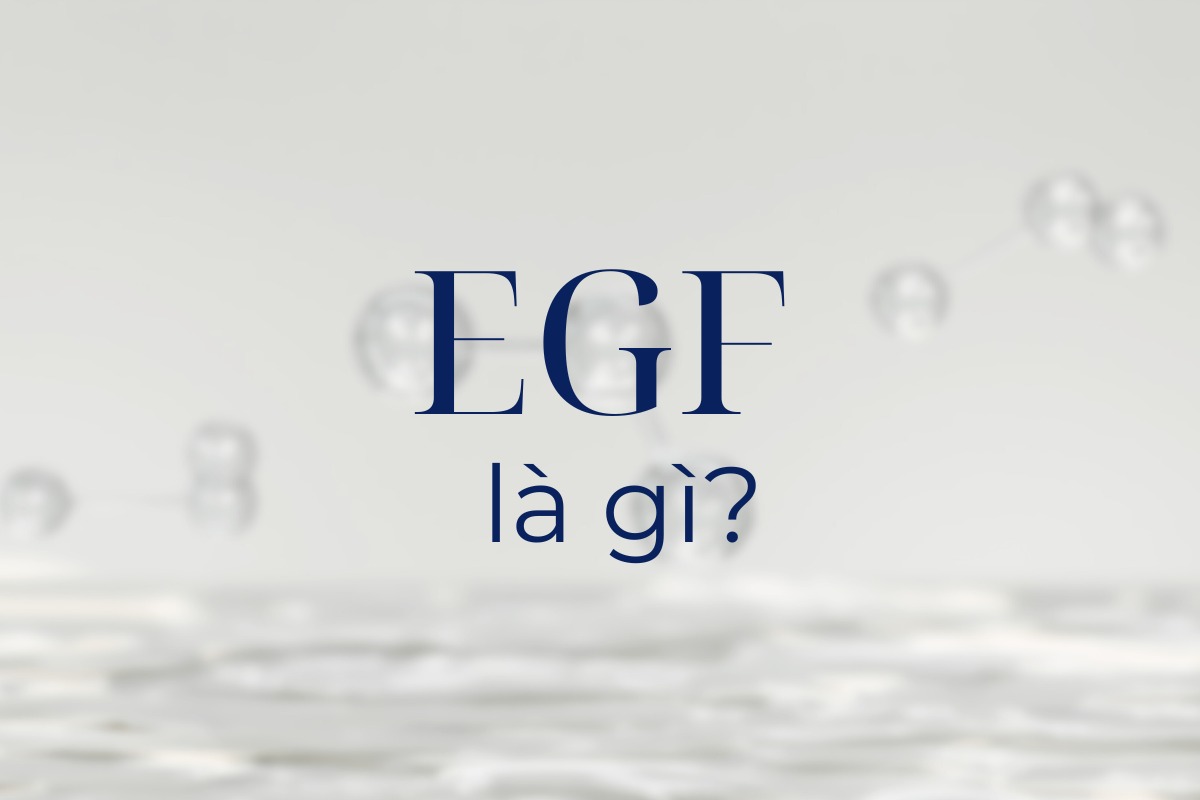 Epidermal Growth Factor (EGF) là gì? Cơ chế hoạt động của Epidermal Growth Factor (EGF)